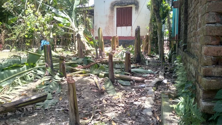 আদালতের নিষেধাজ্ঞা অমান্য করে অর্ধশতাধিক ফলজ গাছ কর্তন