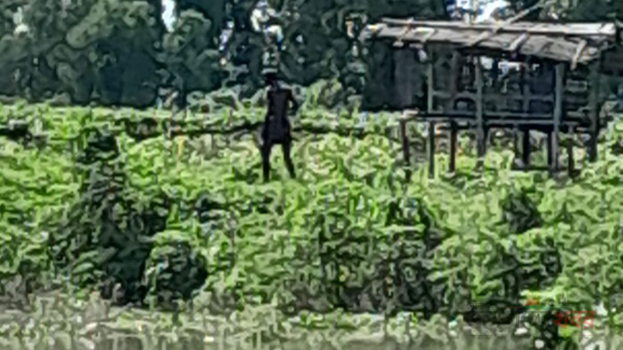 দৌলতপুর সীমান্তে পুশ ইনের চেষ্টা প্রতিহত, ভারতীয় ভূখণ্ডে ফিরিয়ে নিল বিএসএফ
